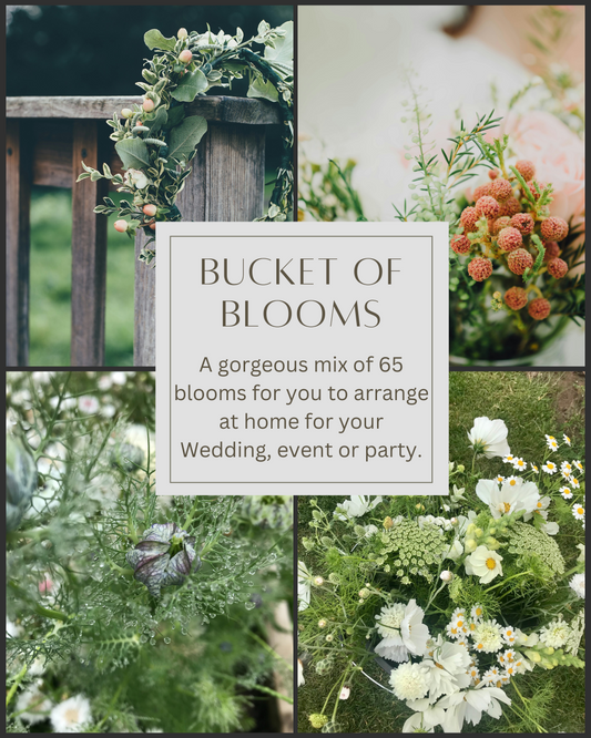 DIY Bucket of Blooms