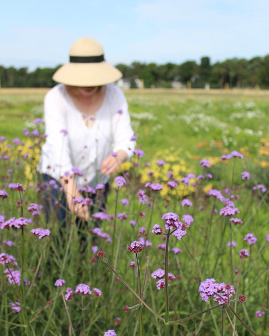 Grow Your Own Cut Flowers