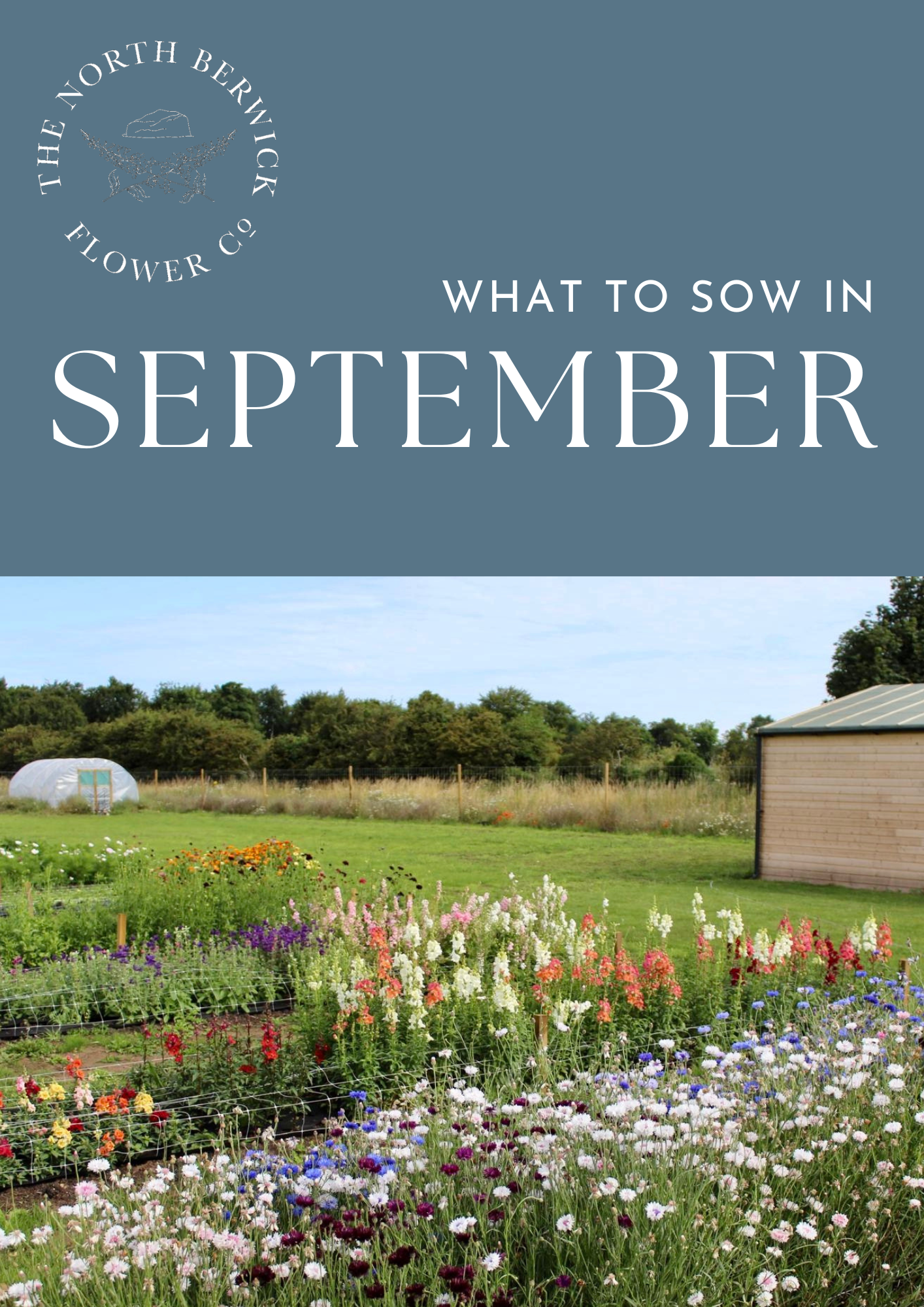 What to Sow in September