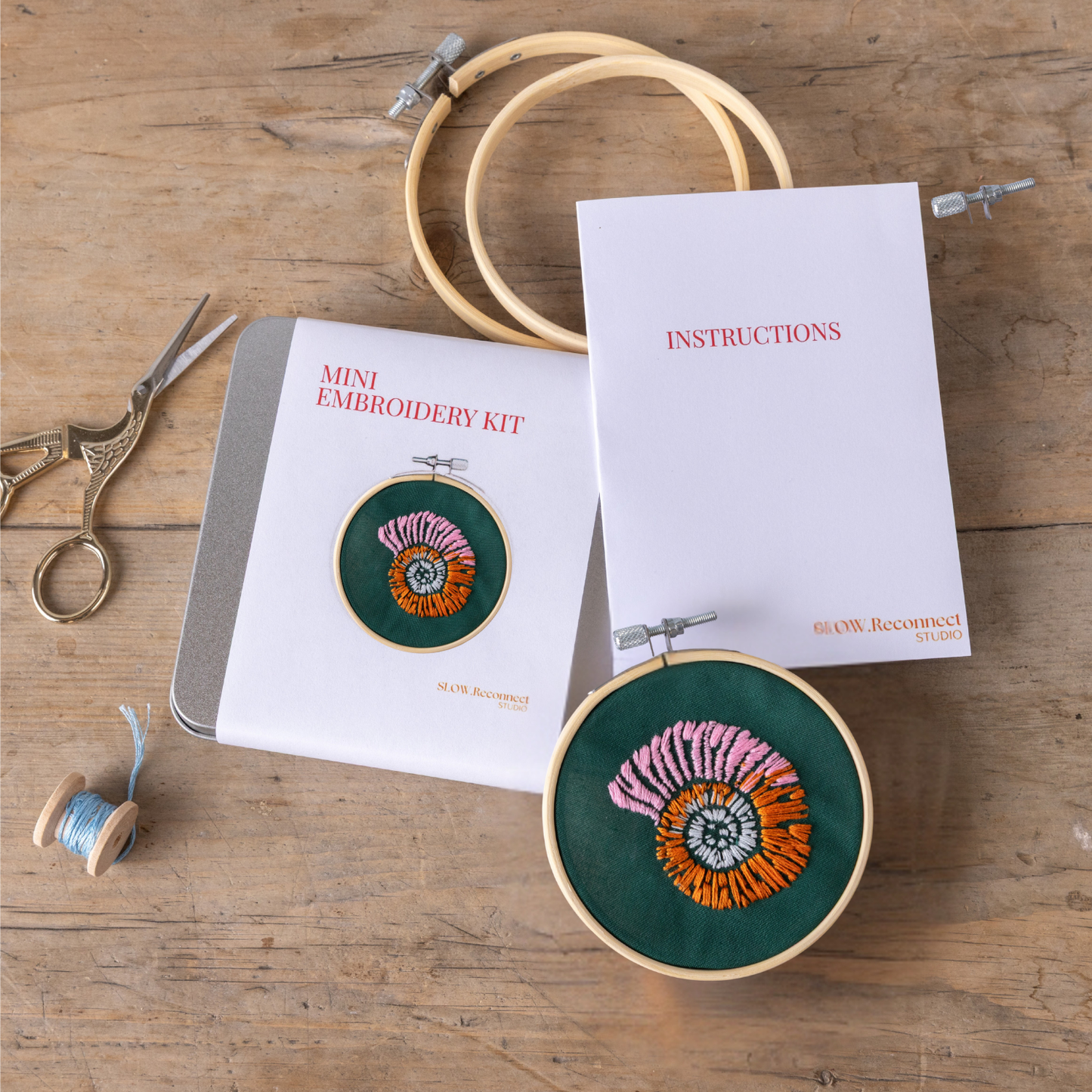 Mini Ammonite Embroidery Kit